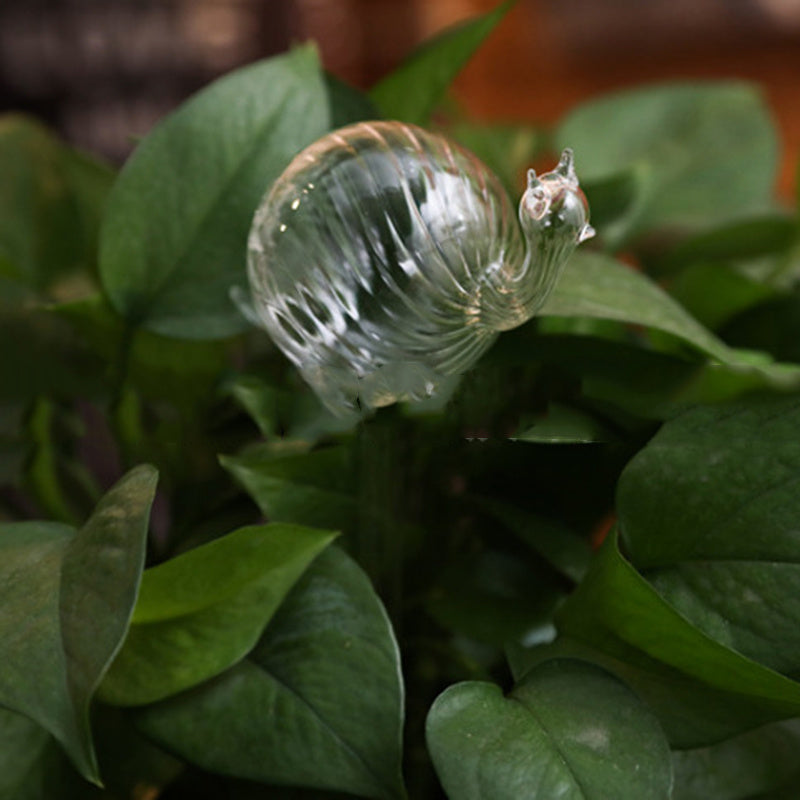 Self Watering Flowers Plant