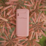 EcoPocket Straw