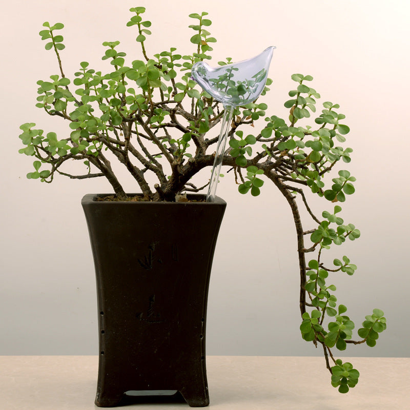 Self Watering Flowers Plant