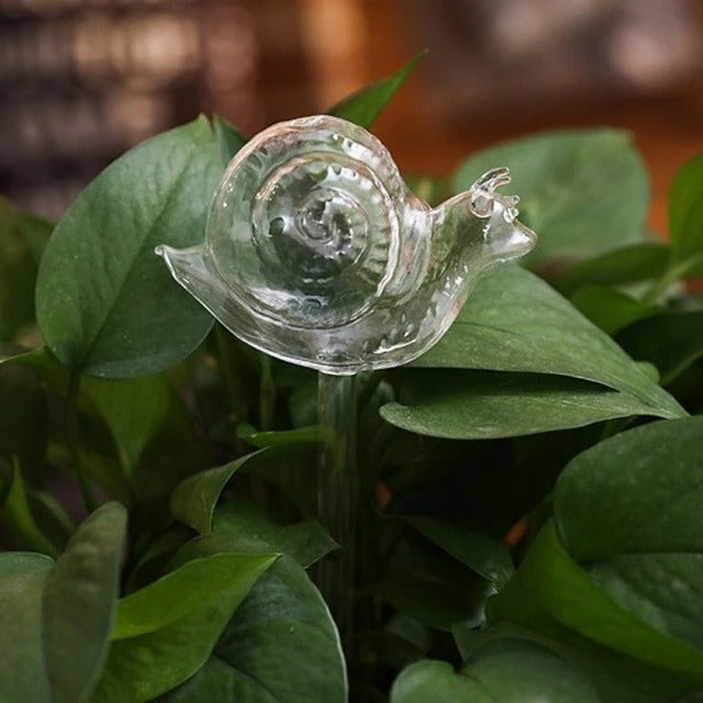 Self Watering Flowers Plant