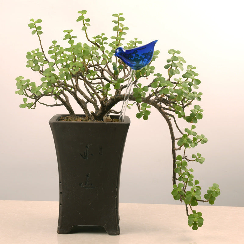 Self Watering Flowers Plant