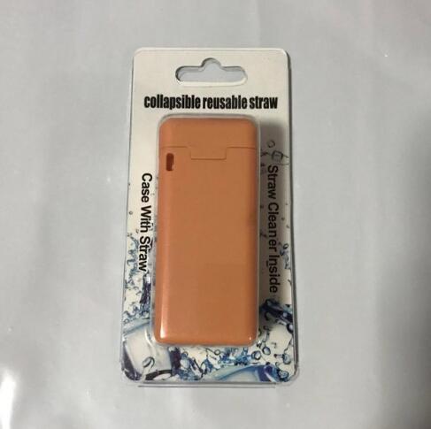 EcoPocket Straw