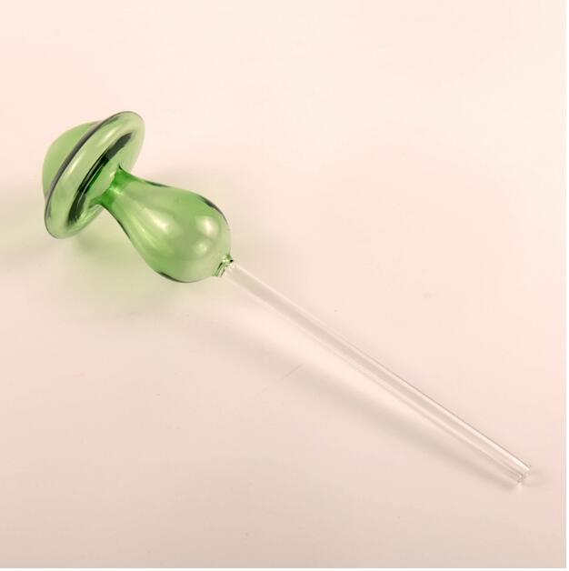 Self Watering Flowers Plant
