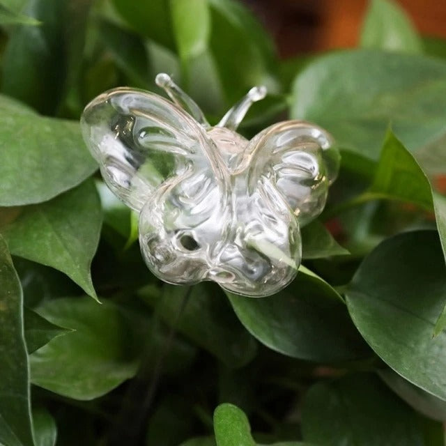Self Watering Flowers Plant