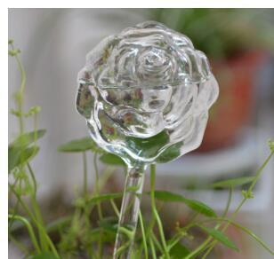 Self Watering Flowers Plant