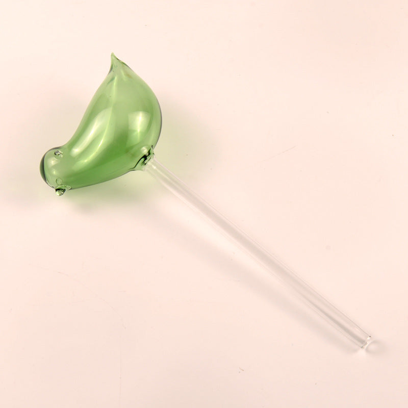 Self Watering Flowers Plant