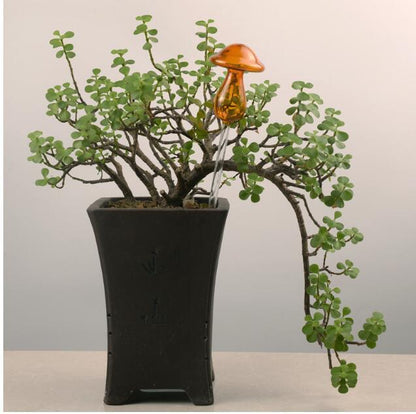Self Watering Flowers Plant