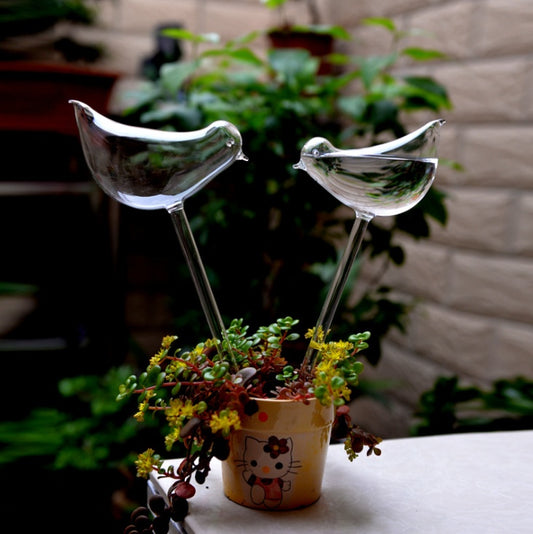 Self Watering Flowers Plant