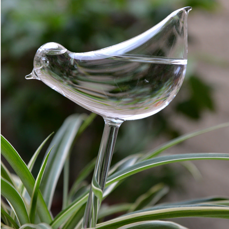 Self Watering Flowers Plant